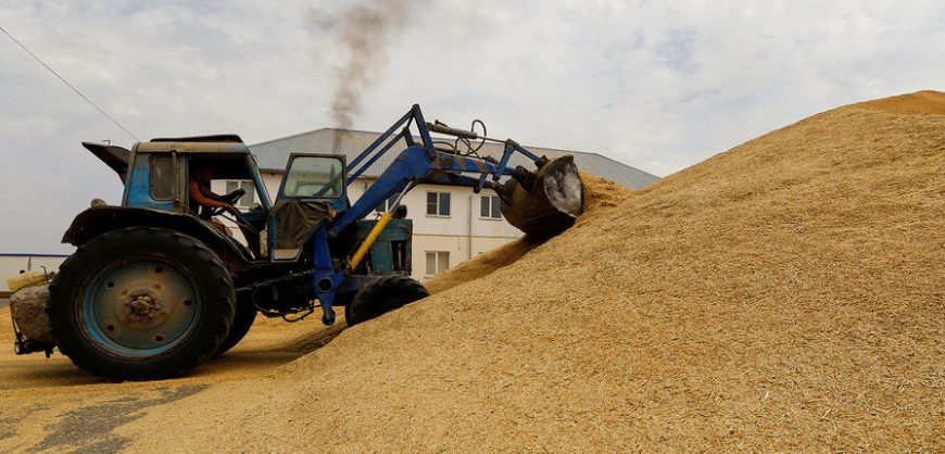 Российские власти заявили, что не намерены нарушать контракты по поставкам продовольствия