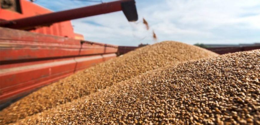 Турция договорилась с Киевом и Москвой о закупке украинского зерна по ценам ниже мировых и возможности его реэкспорта