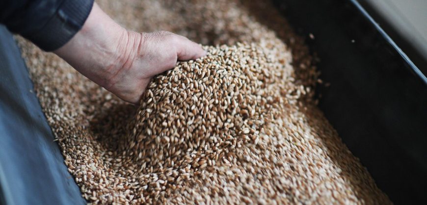 Москва ставит пять условий продления зерновой сделки