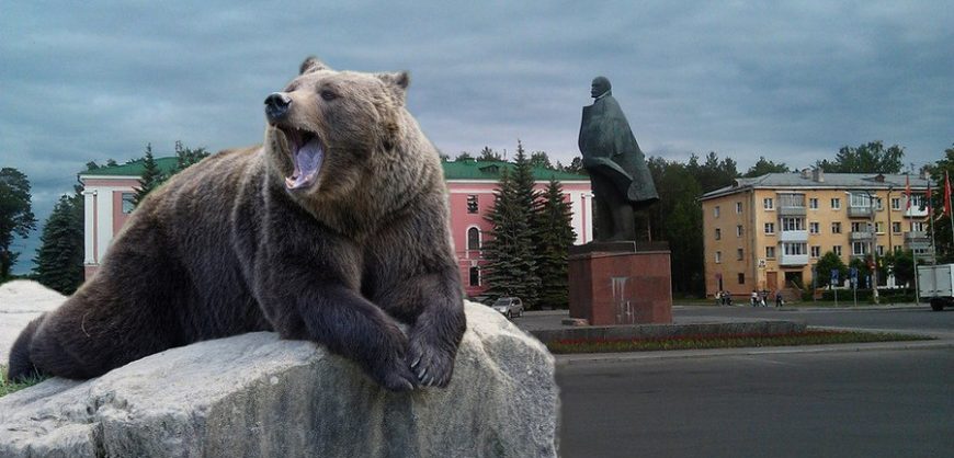 Медведь пришёл в закрытый город